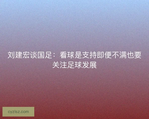 刘建宏谈国足：看球是支持即便不满也要关注足球发展
