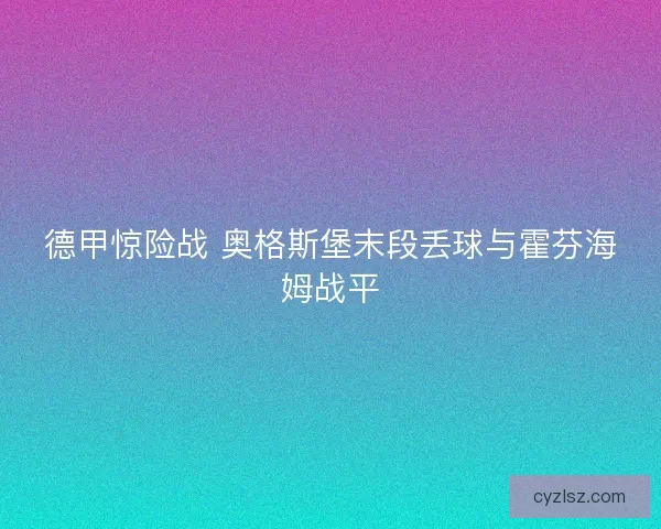 德甲惊险战 奥格斯堡末段丢球与霍芬海姆战平