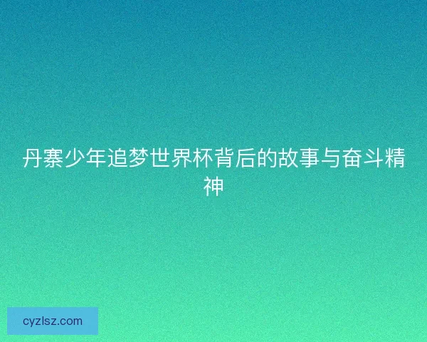 丹寨少年追梦世界杯背后的故事与奋斗精神