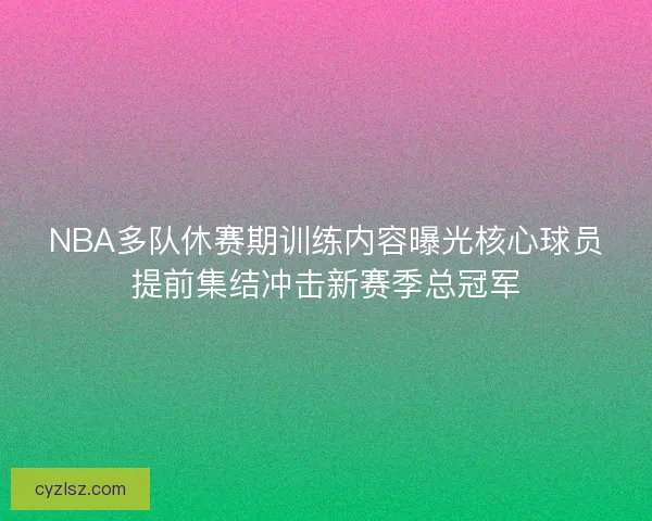 NBA多队休赛期训练内容曝光核心球员提前集结冲击新赛季总冠军 NBA多队休赛期训练内容曝光核心球员提前集结冲击新赛季总冠军